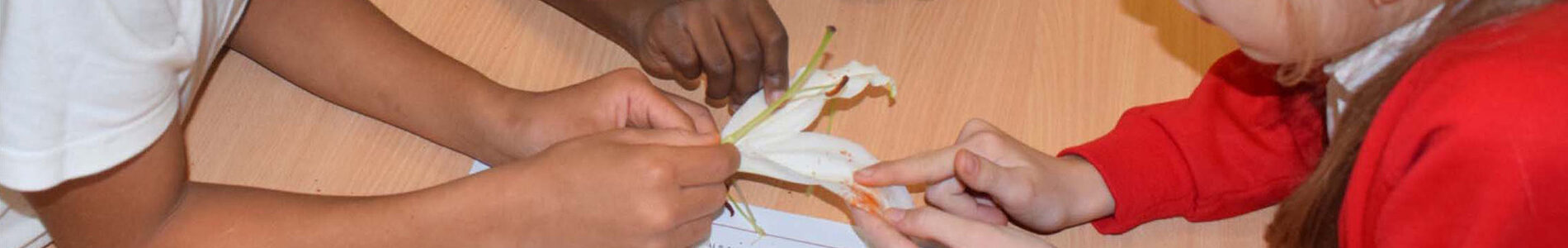 Explore, Engage, Extend - Primary Science Teaching Trust