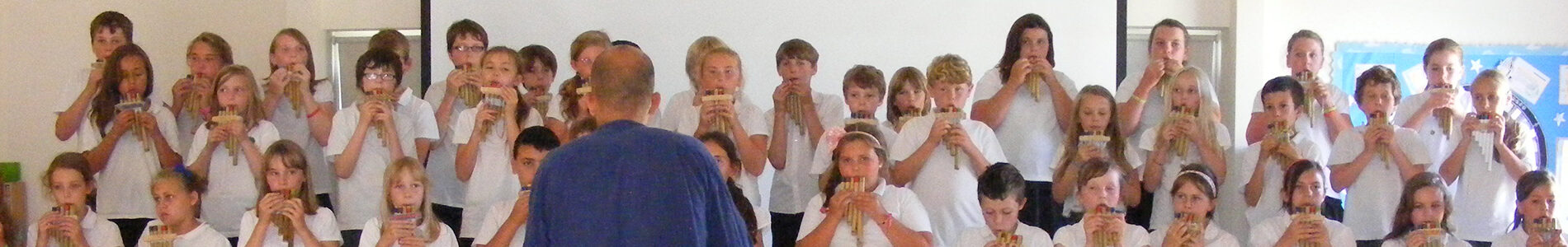 Growing Music Primary Science Teaching Trust