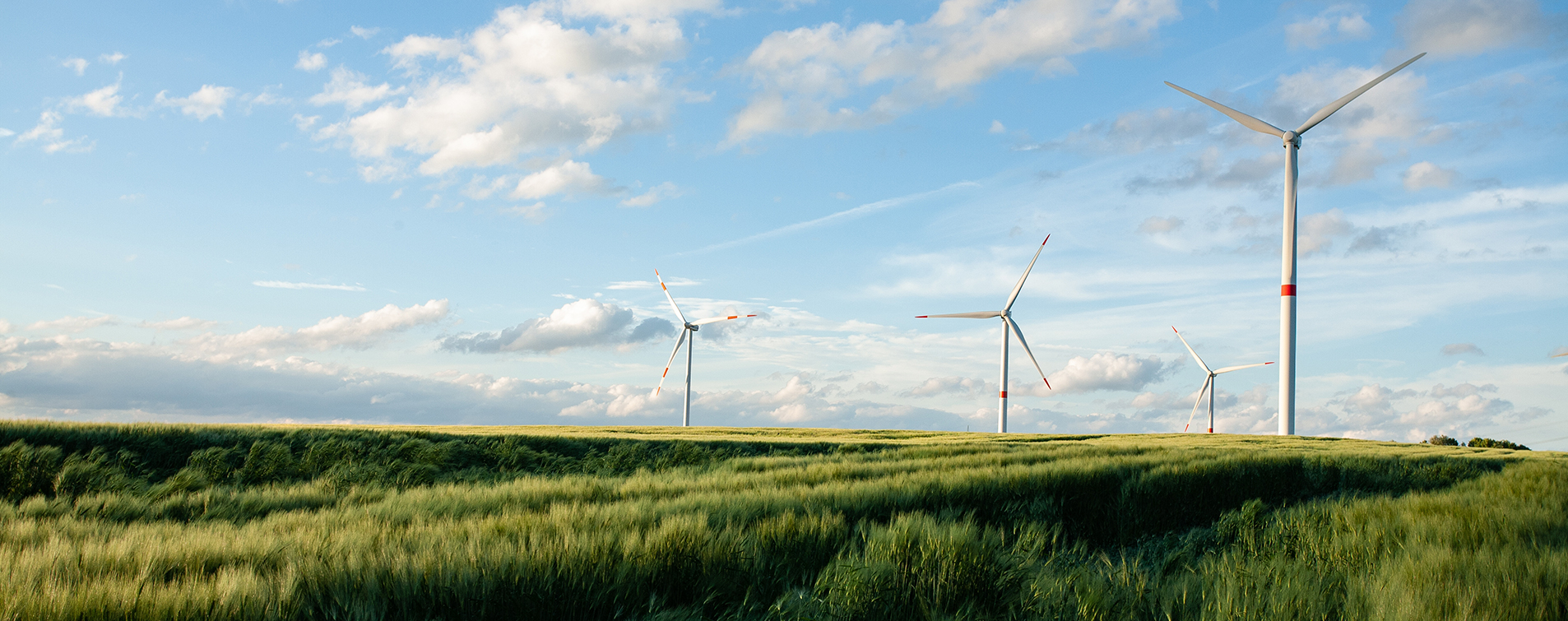 Wind turbines in a field