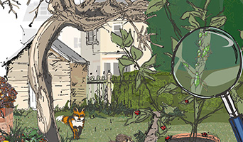 Illustration of wildlife in a garden