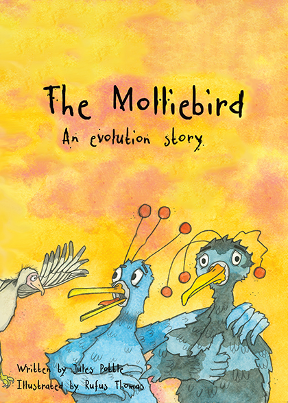 Molliebird front cover