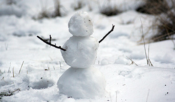 Snowman with twig arms