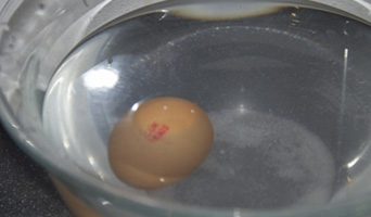 Egg floating in a bowl