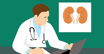 Doctor looking at laptop with image of kidneys in the background