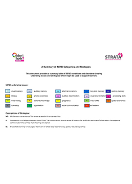 Summary of SEND categories and stratergies