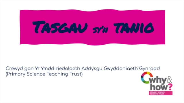 Starters for Science Welsh thumbnail