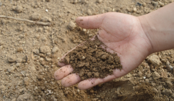 a person has picked up a handful of dirt