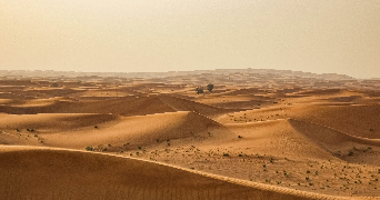 an image of a vast desert