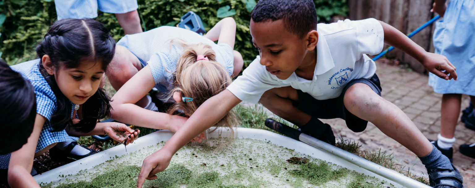 Home - Primary Science Teaching Trust