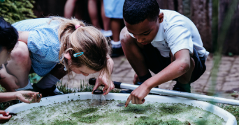 two primary children observing living things in a outside pond