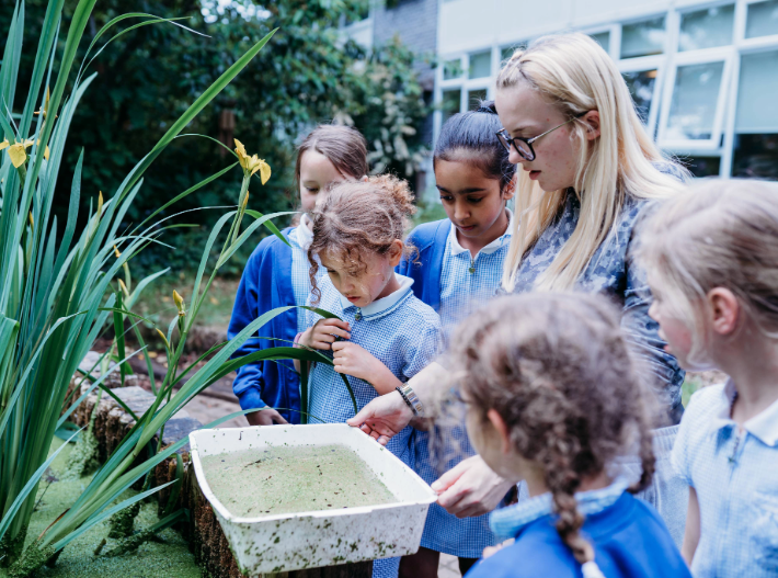 a teacher and primary pupils observing living things in their outside garden