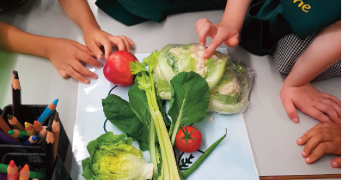 JES issue 26 cover of primary children observing vegetables in the classroom