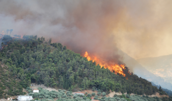 a wildfire burning across a forested hillside, with flames visible among trees and thick smoke rising into the sky