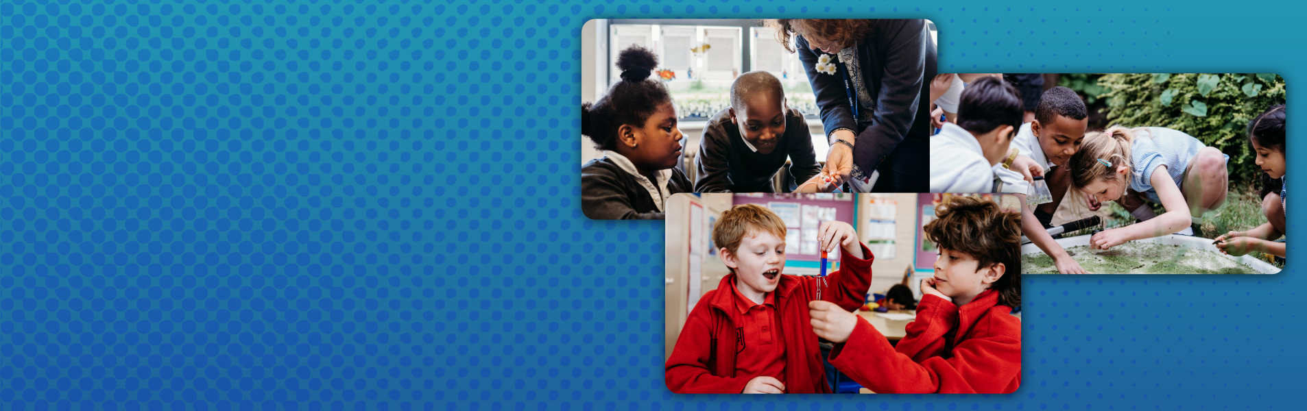 event image containing festive science, online science days and summer science
