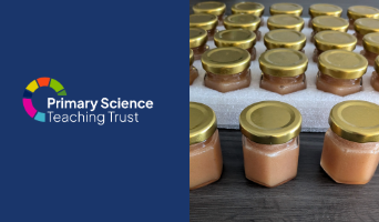 photos of small jars of honey