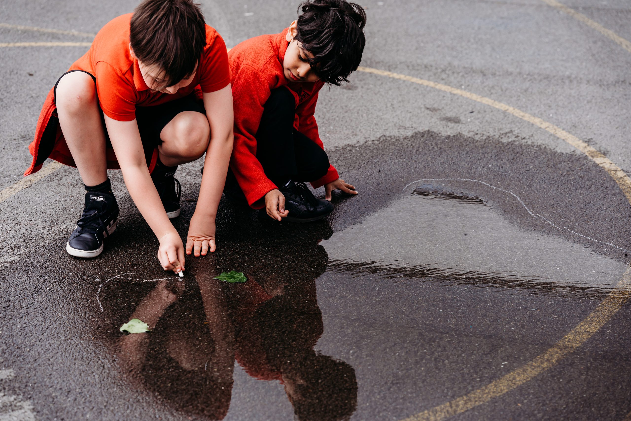 Outdoor science learning, a primary school scene