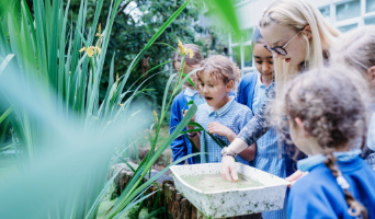 early career teacher and primary school children investigating pond life and habitat outdoors