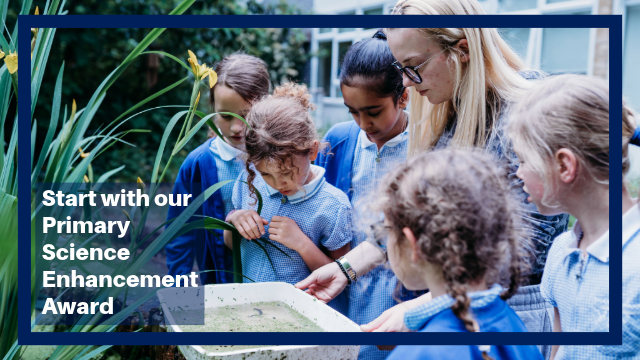 an image taken from PSTT's PSEA promotional video showing a teacher early in their teaching career observing habitats with children outdoors